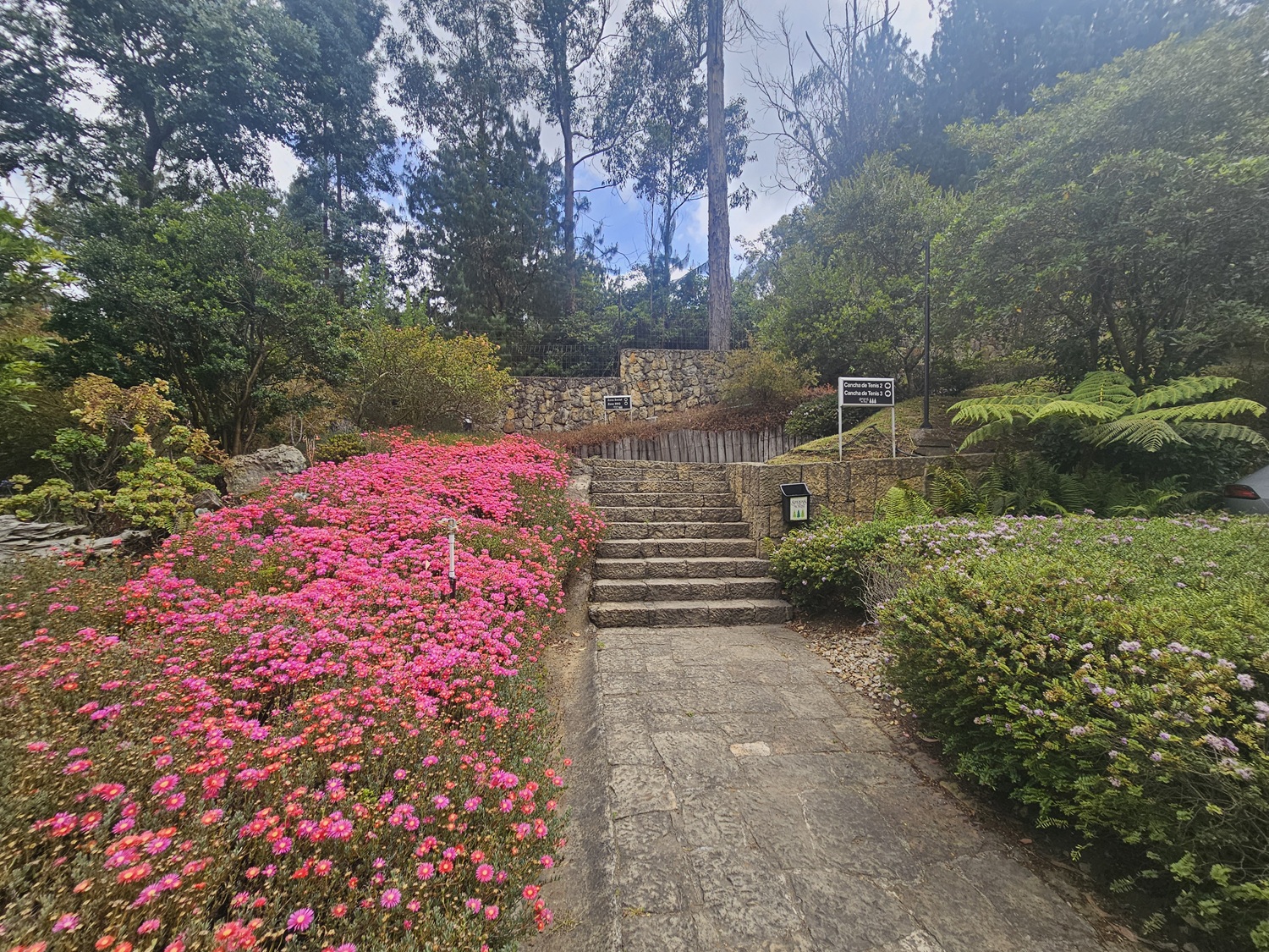 caminos peatonales internos y jardines