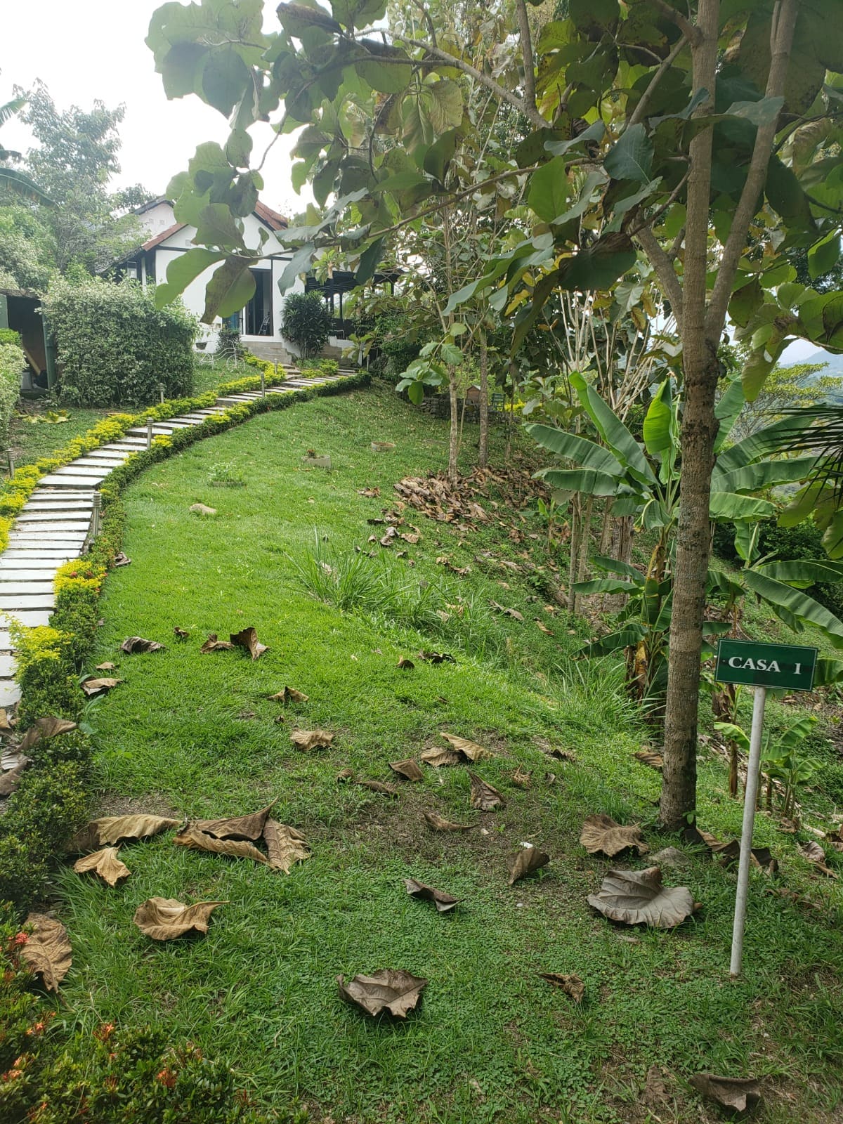 casa en villeta – naturaleza, confort colombian invest & stay (7)