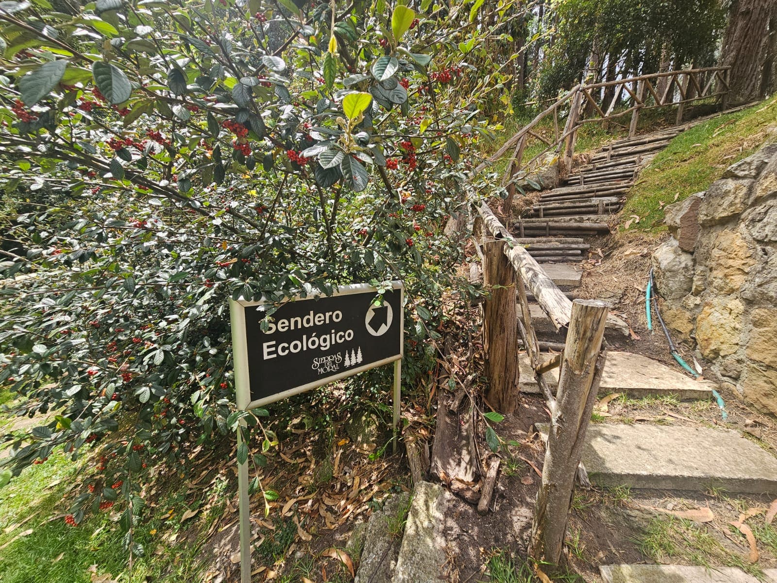 penthouse en sierras del moral colombian invest & stay (3)