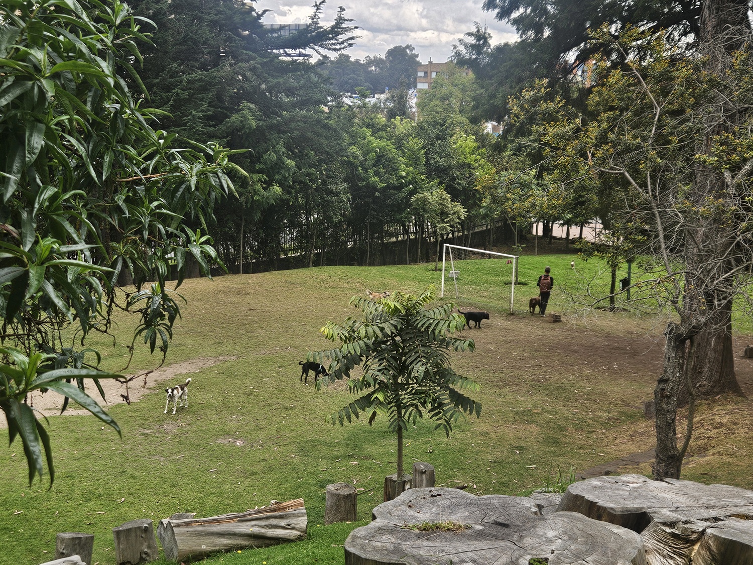 campo de futbol