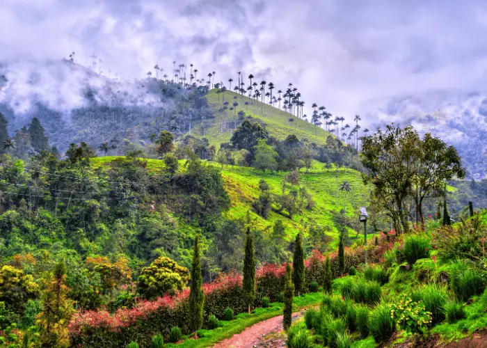 clima, salud y bienestar diario colombia investand stay