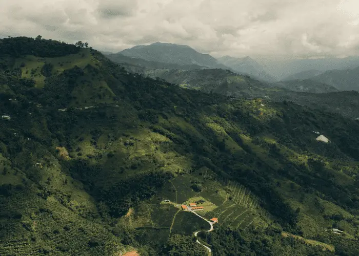 eje cafetero colombia investand stay